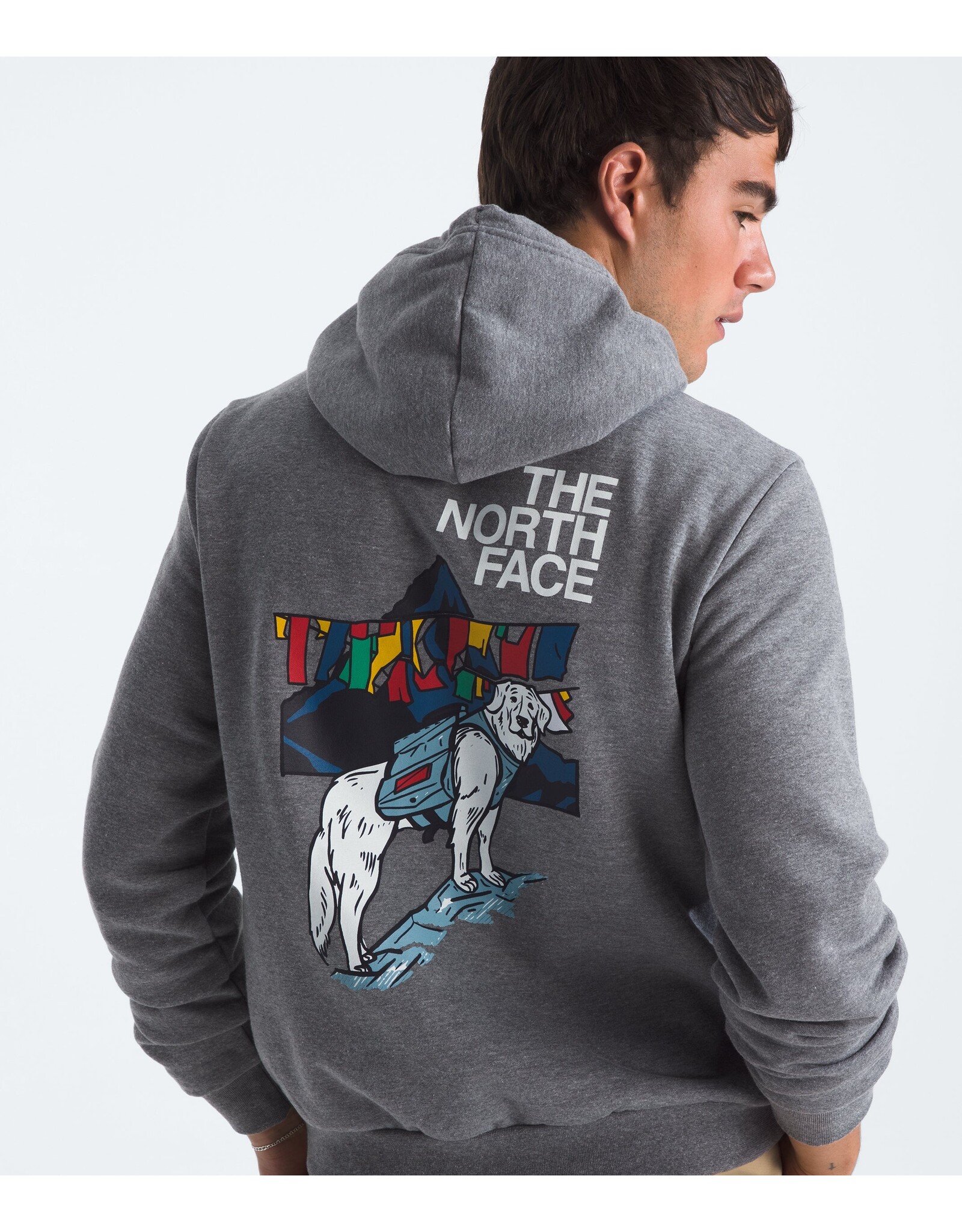 THE NORTH FACE MEN SUNLIT SUMMIT REGULAR HOODIE
