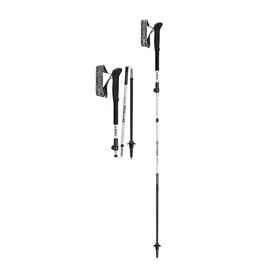 LEKI SKYTERA FX CARBON SL