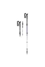 LEKI SKYSOLO FX CARBON