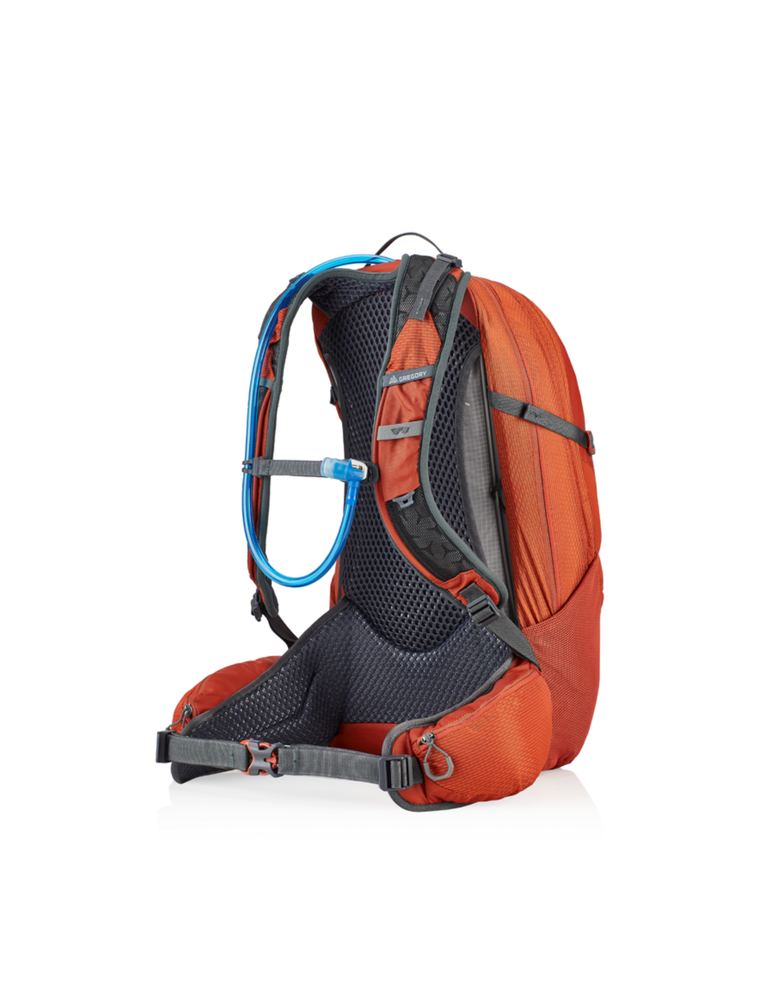 GREGORY CITRO 24 H2O