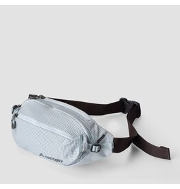 GREGORY NANO WAISTPACK