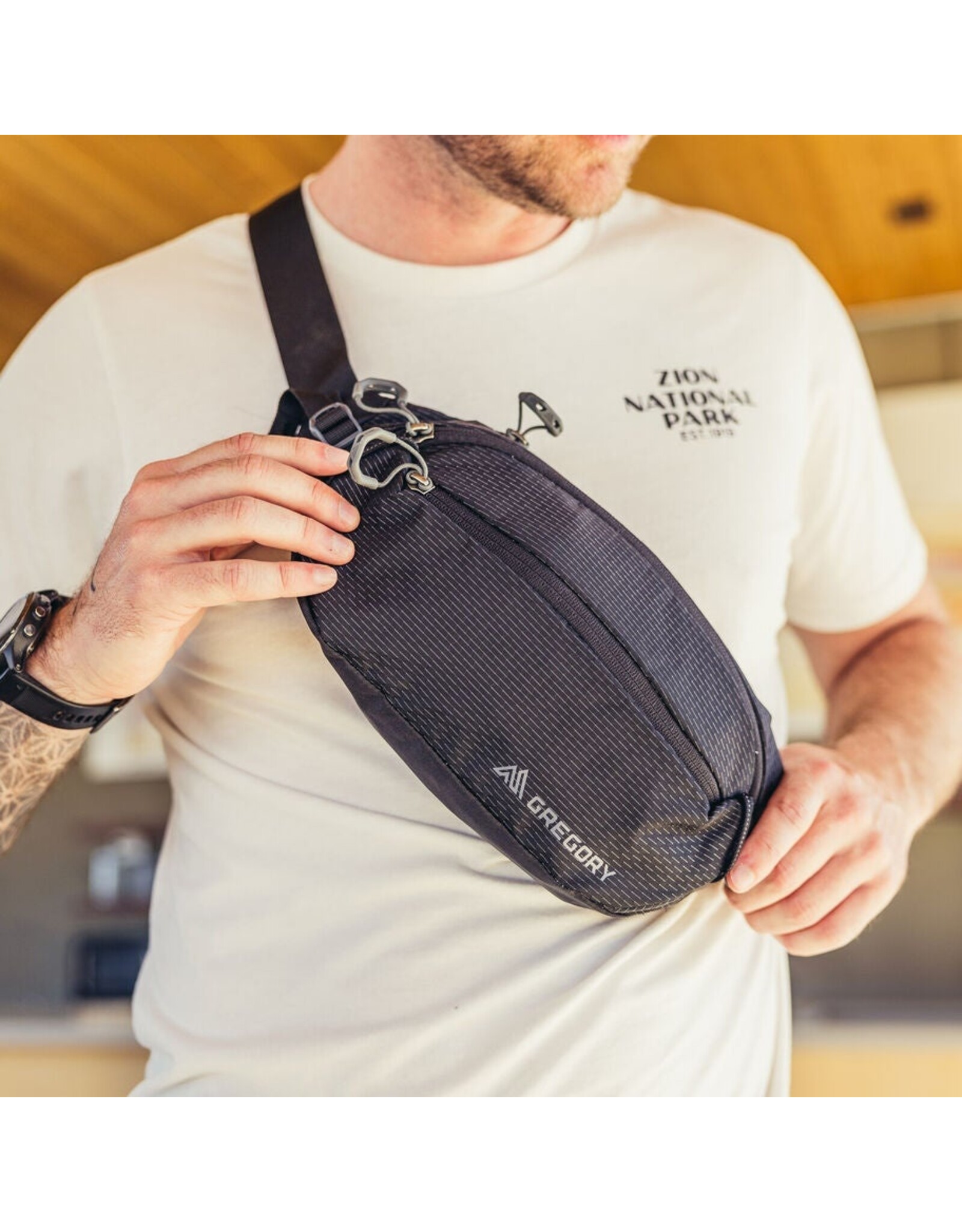 GREGORY NANO WAISTPACK