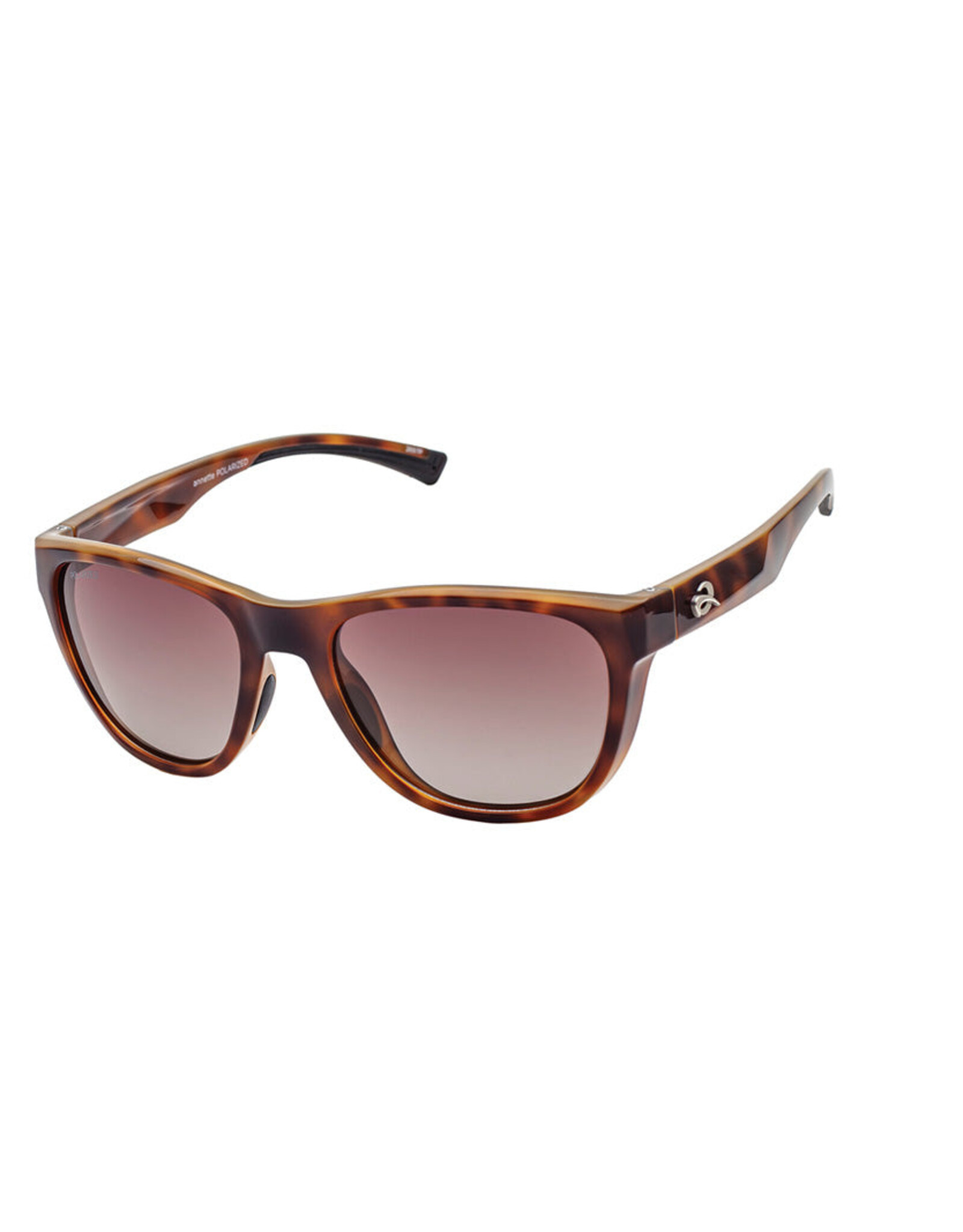 AT MORAINE SUNGLASSES