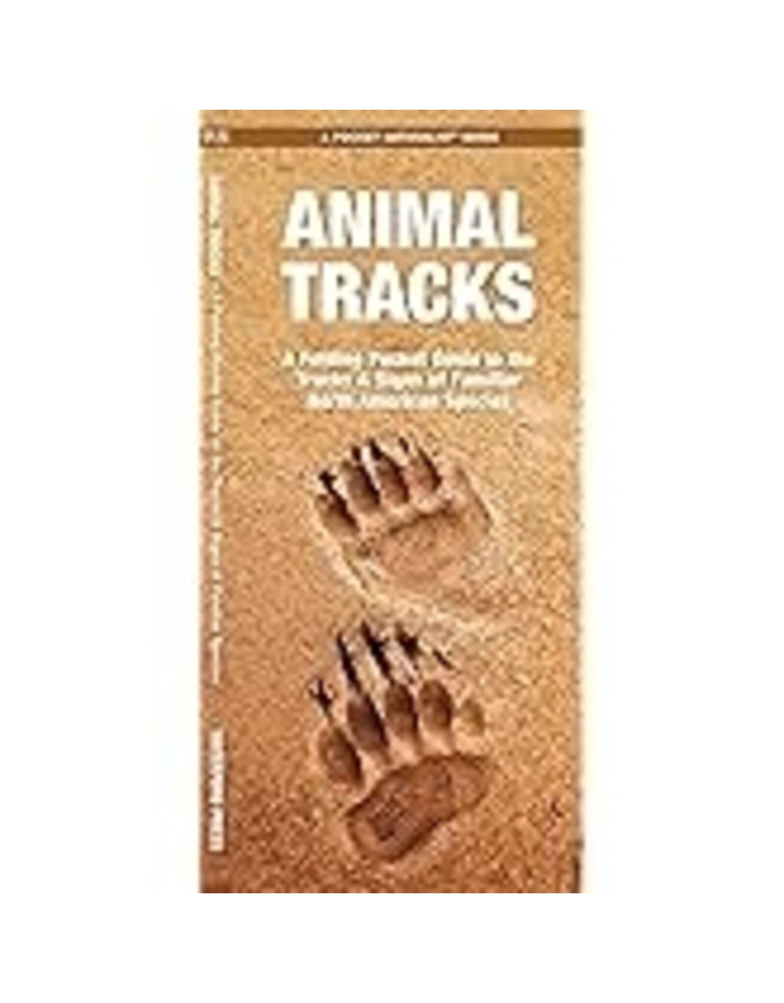 AUDUBON POCKET GUIDE FAMILIAR ANIMAL TRACKS