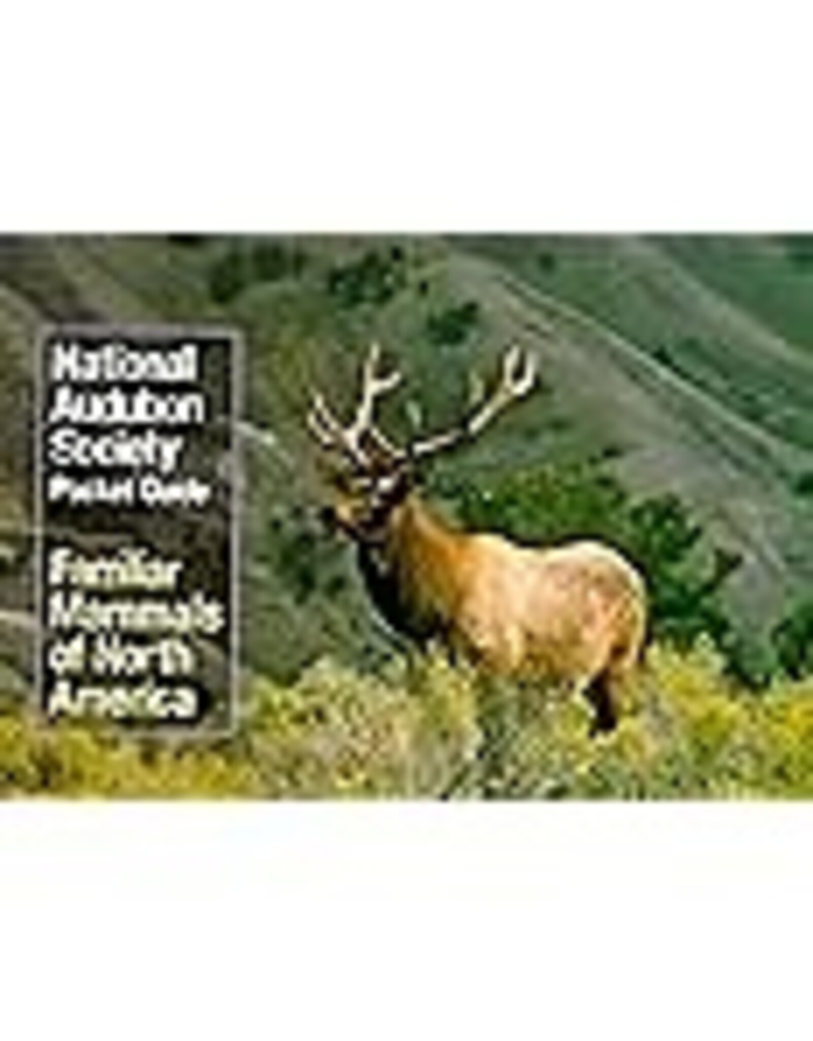 AUDUBON POCKET GUIDE TO FAMILIAR MAMMALS
