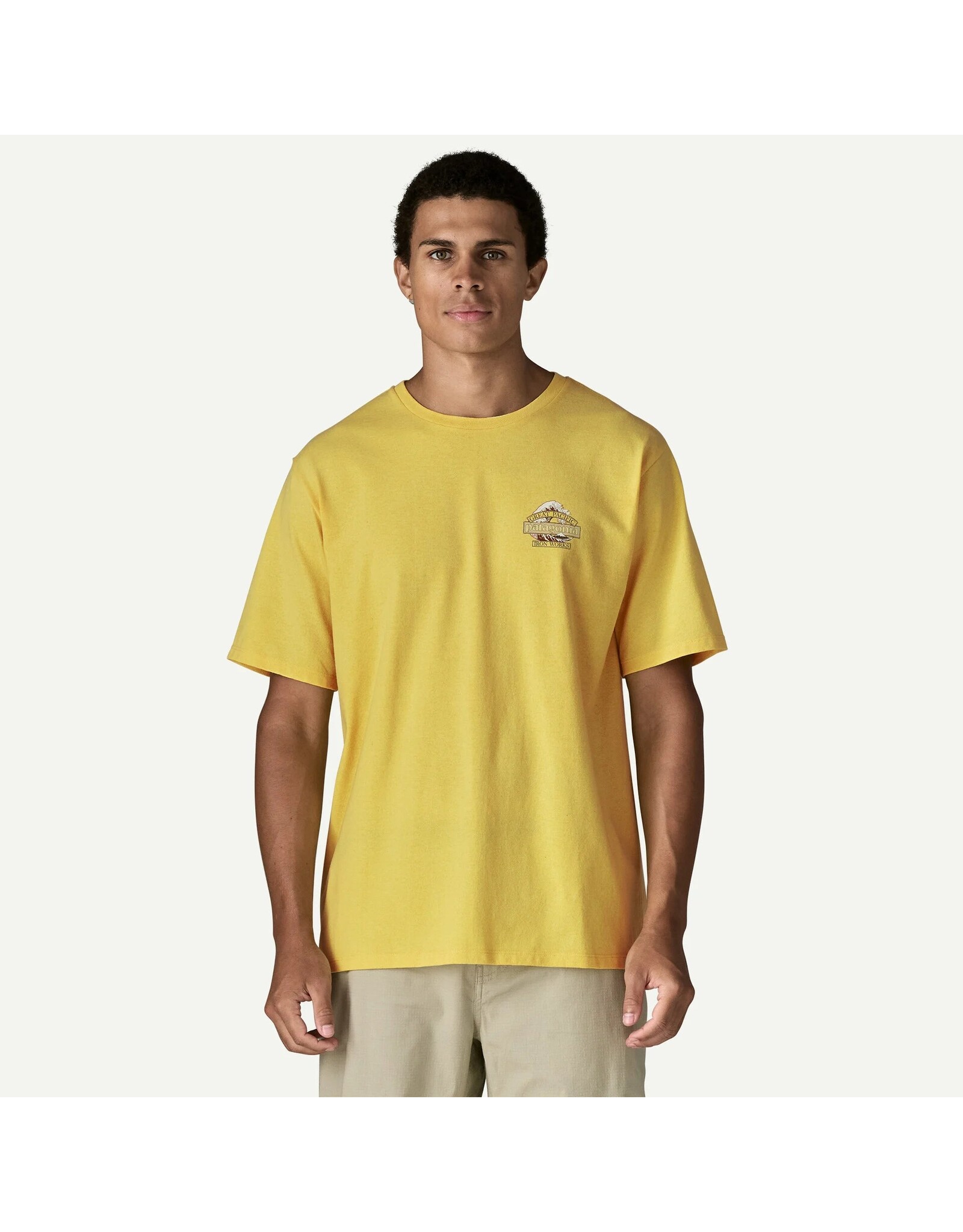 PATAGONIA MEN'S GREAT WAVES RESPONSIBILI-TEE