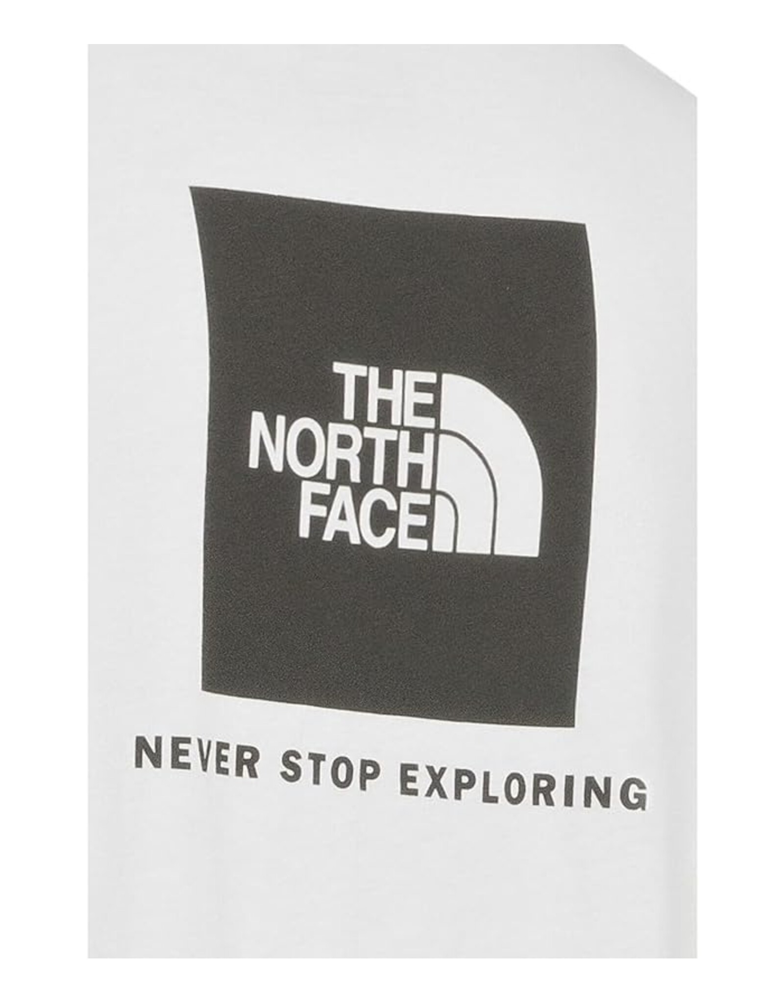 THE NORTH FACE MEN EVOLUTION BOX NSE S/S TEE