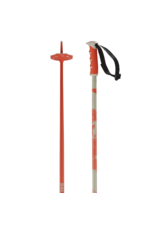 SALOMON ALPINE POLES STEEP BOX