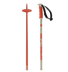 SALOMON ALPINE POLES STEEP BOX