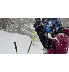 LEKI GRIFFIN PRO 3D