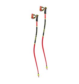 LEKI SUPER G/DH SKI POLE