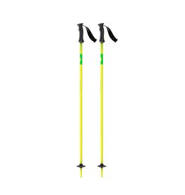 SCOTT ELEMENT ADJ  POLES