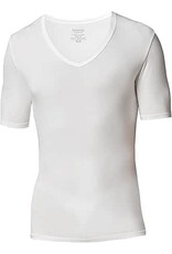 STANFIELDS MENS VNECK TEE