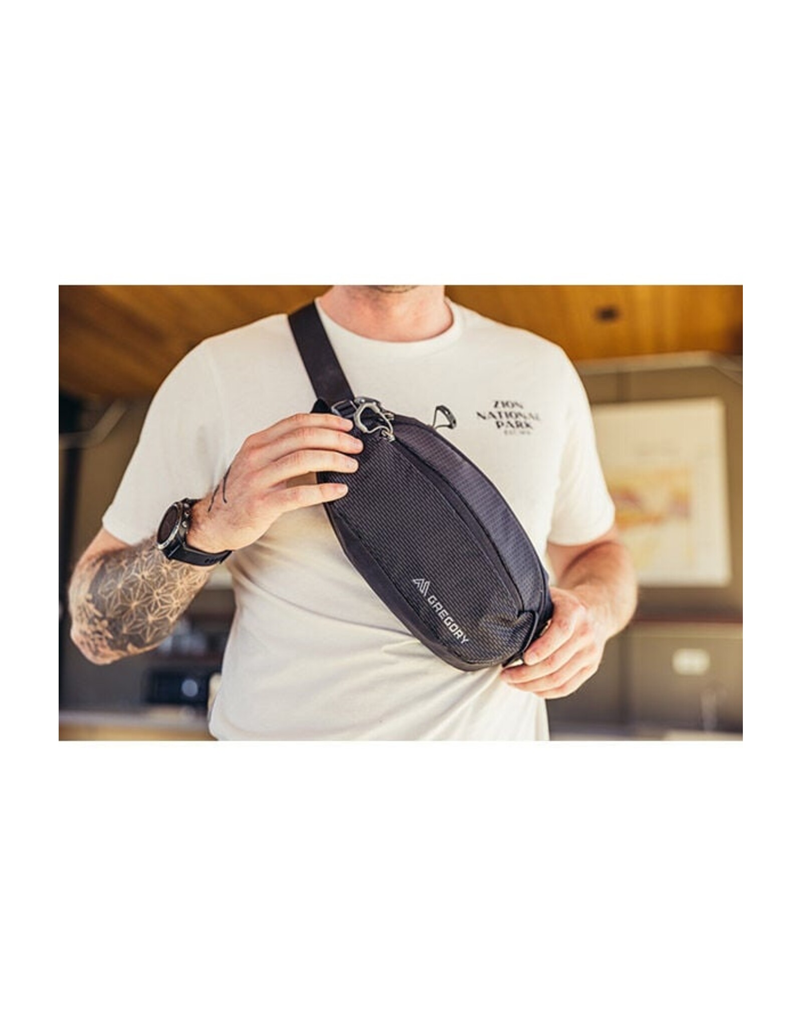 GREGORY NANO WAISTPACK