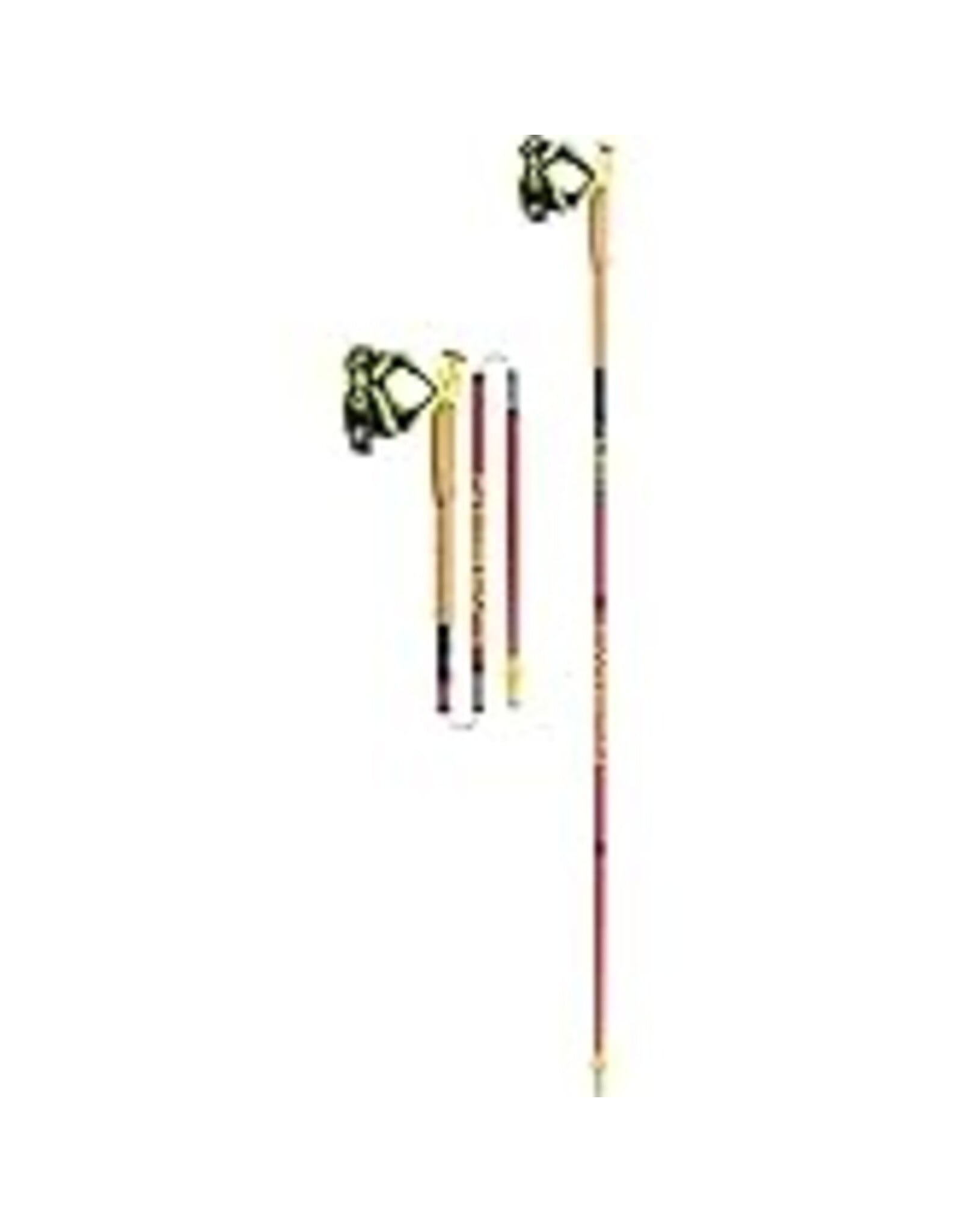 LEKI EVOTRAIL FX ONE TA