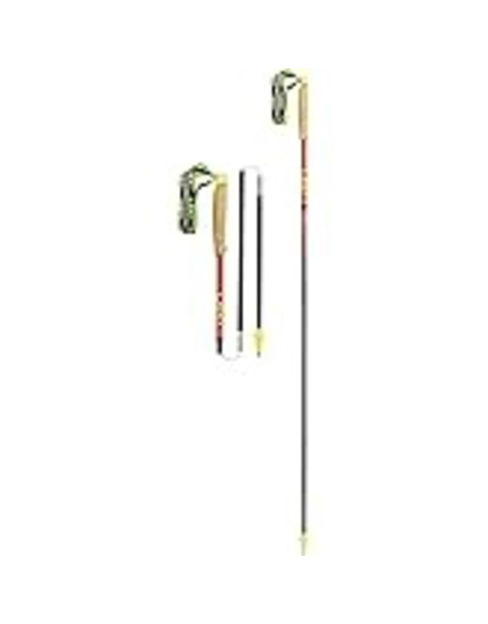 LEKI EVOTRAIL FX ONE TA