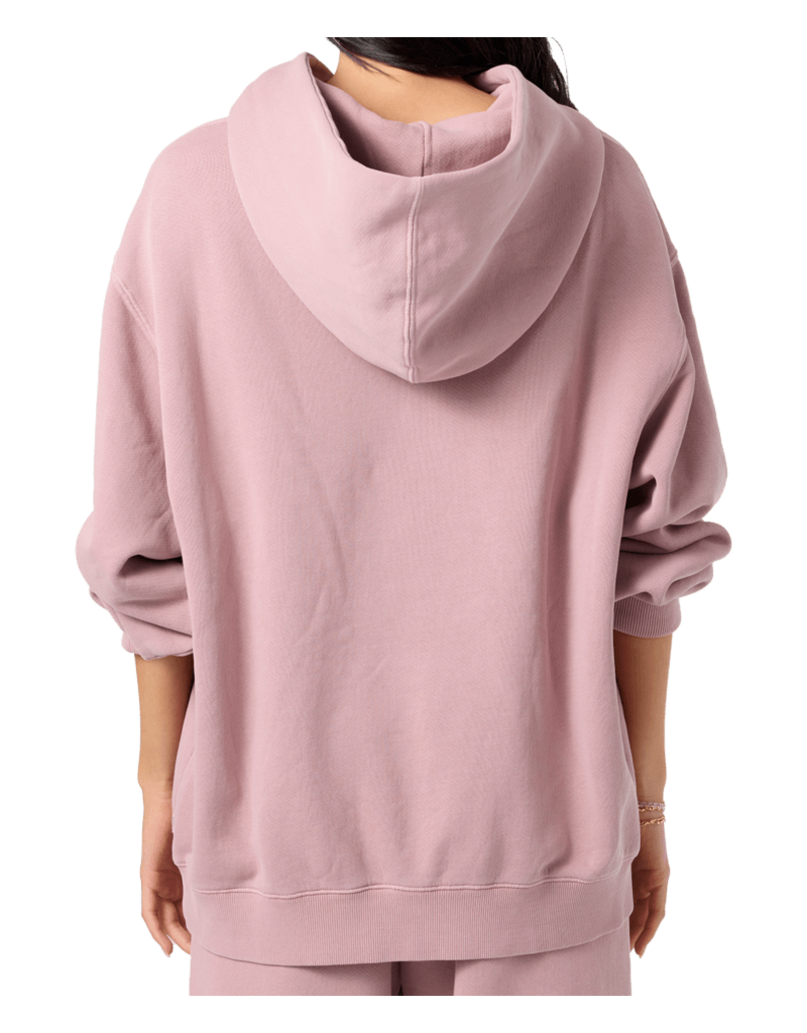 ONEILL WOMEN OG CIRCLE SURFER VINTAGE HOODIE