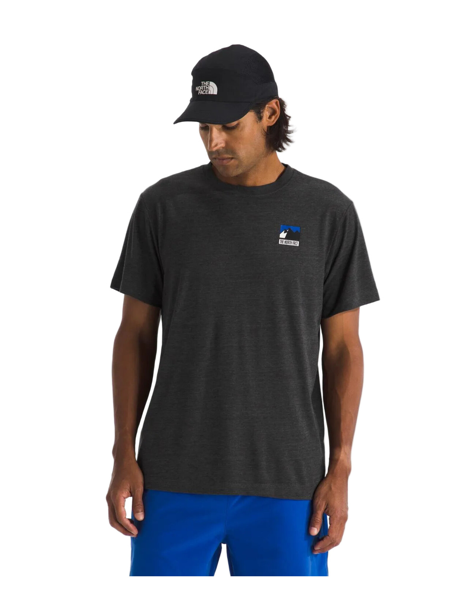 THE NORTH FACE MEN TRI-BLEND MOUNTAIN LOGO S/S TEE