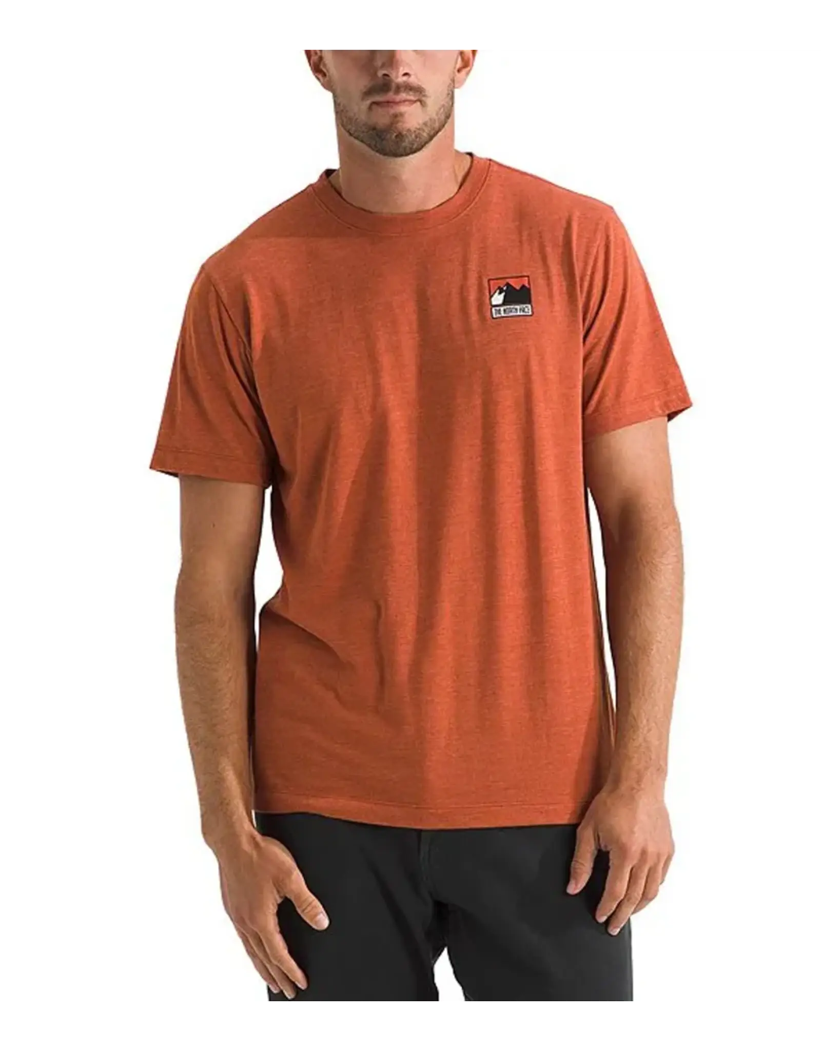 THE NORTH FACE MEN TRI-BLEND MOUNTAIN LOGO S/S TEE