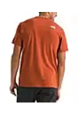 THE NORTH FACE MEN TRI-BLEND MOUNTAIN LOGO S/S TEE