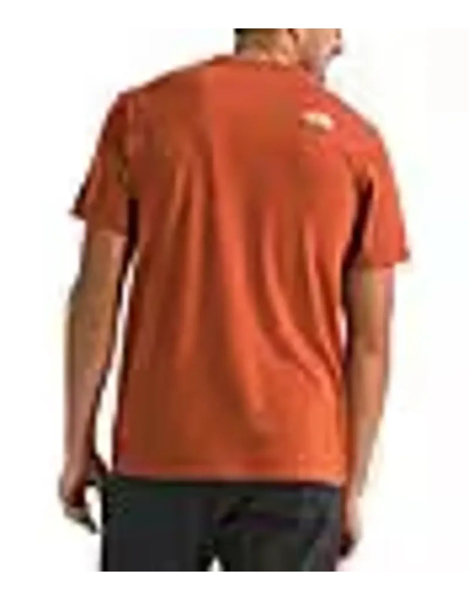 THE NORTH FACE MEN TRI-BLEND MOUNTAIN LOGO S/S TEE