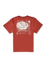 THE NORTH FACE MEN PLACES WE LOVE S/S TEE DENALI