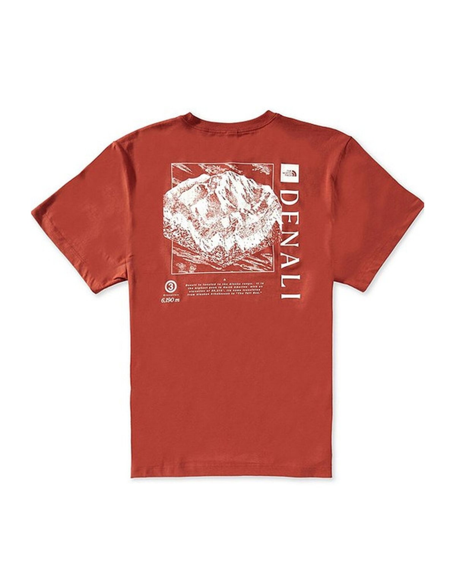 THE NORTH FACE MEN PLACES WE LOVE S/S TEE DENALI