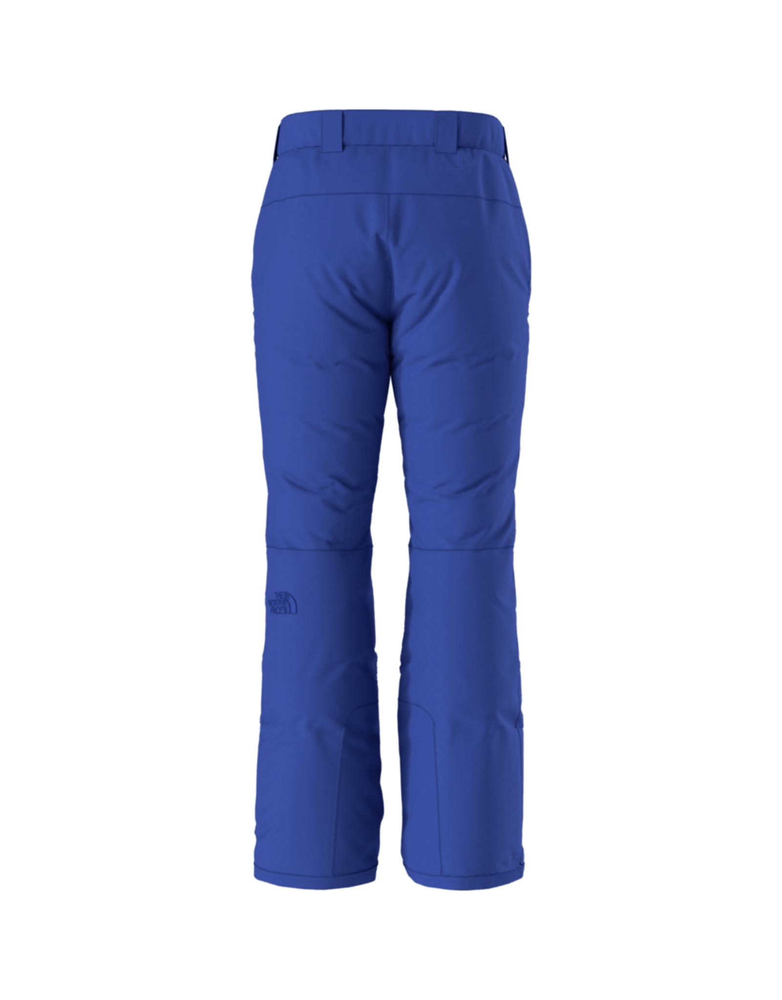 THE NORTH FACE MEN DESCENDIT PANT