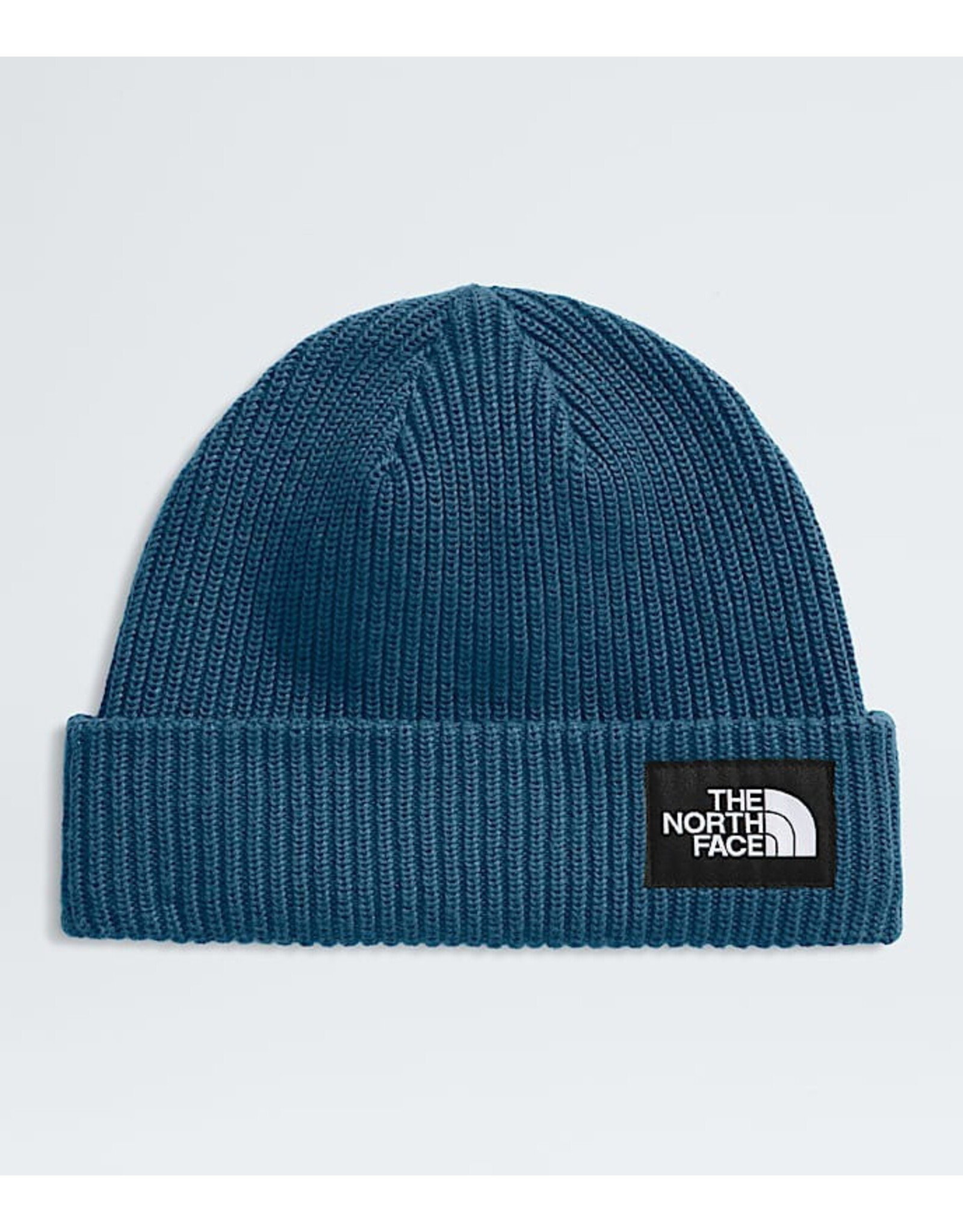 THE NORTH FACE SALTY LINED BEANIE