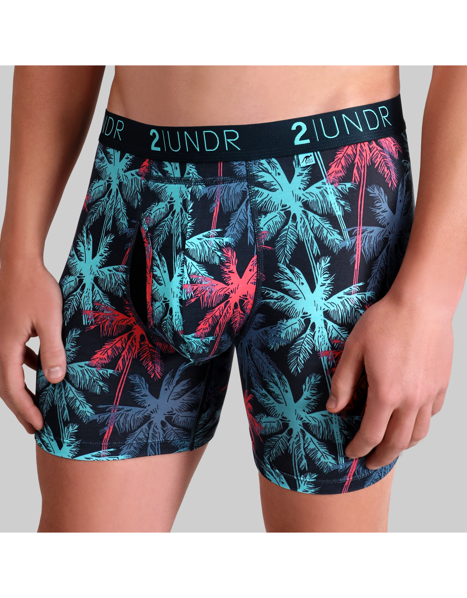 2UNDER SWING SHIFT BOXER BRIEF 6" PRINTS