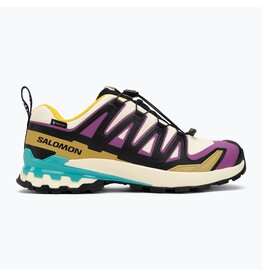 SALOMON MEN XA PRO 3D V9 GTX SHOE