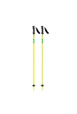 SCOTT ELEMENT ADJ  POLES