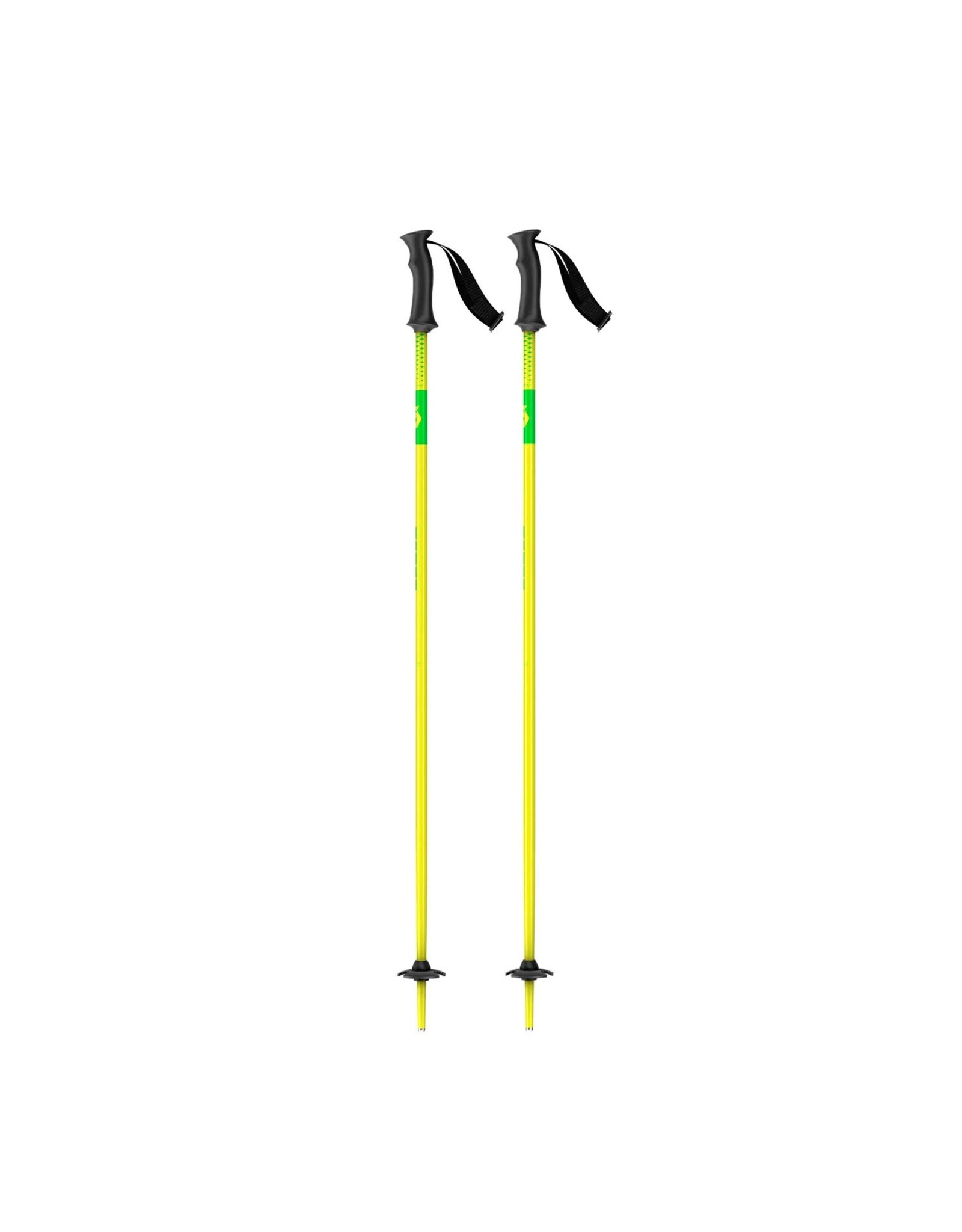 SCOTT ELEMENT ADJ  POLES