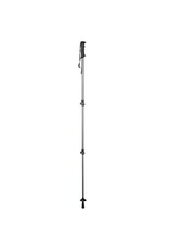 WALKER LOCK POLE SINGLE ASPHALT