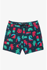 ONEILL MEN ISLAND VOLLEY 18" SHORT