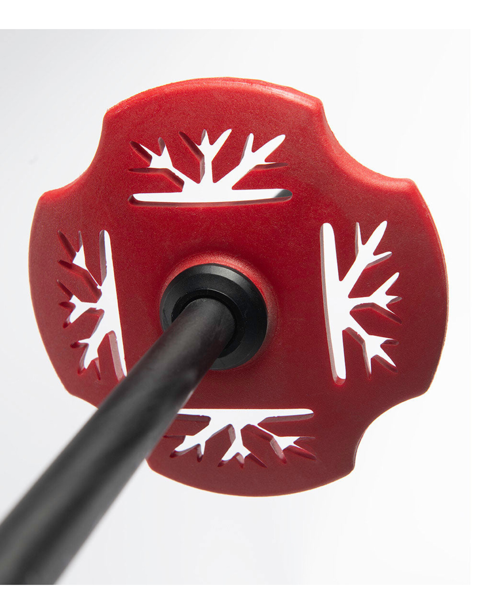 DPS EXTENDABLE SKI POLE