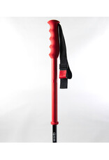 DPS EXTENDABLE SKI POLE