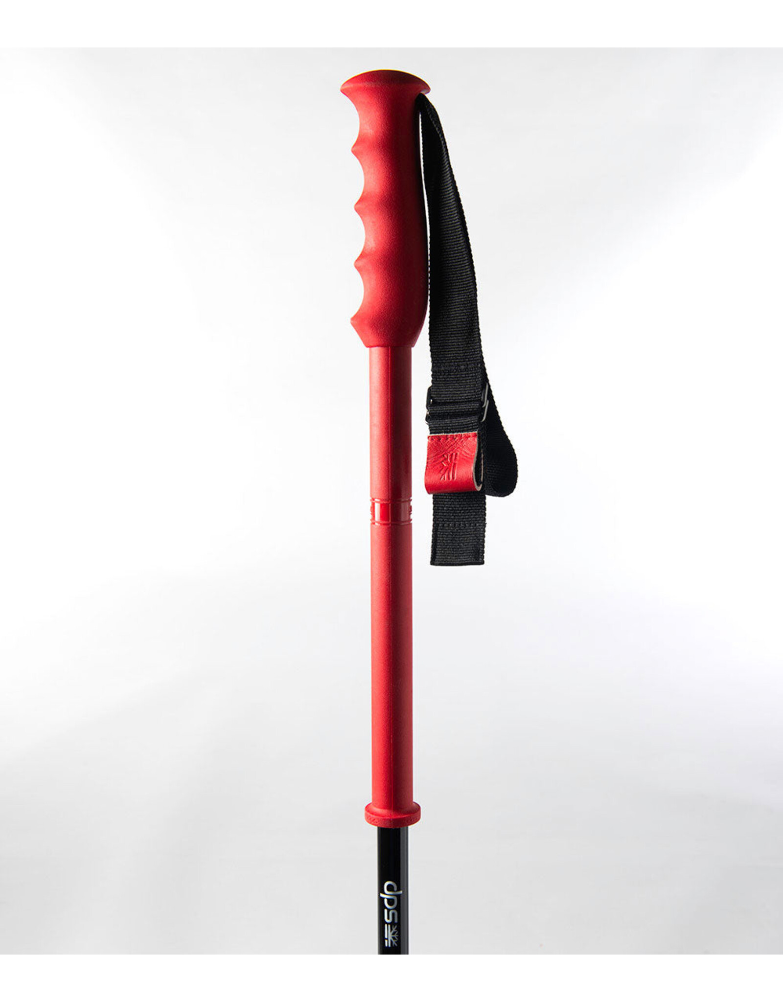 DPS EXTENDABLE SKI POLE
