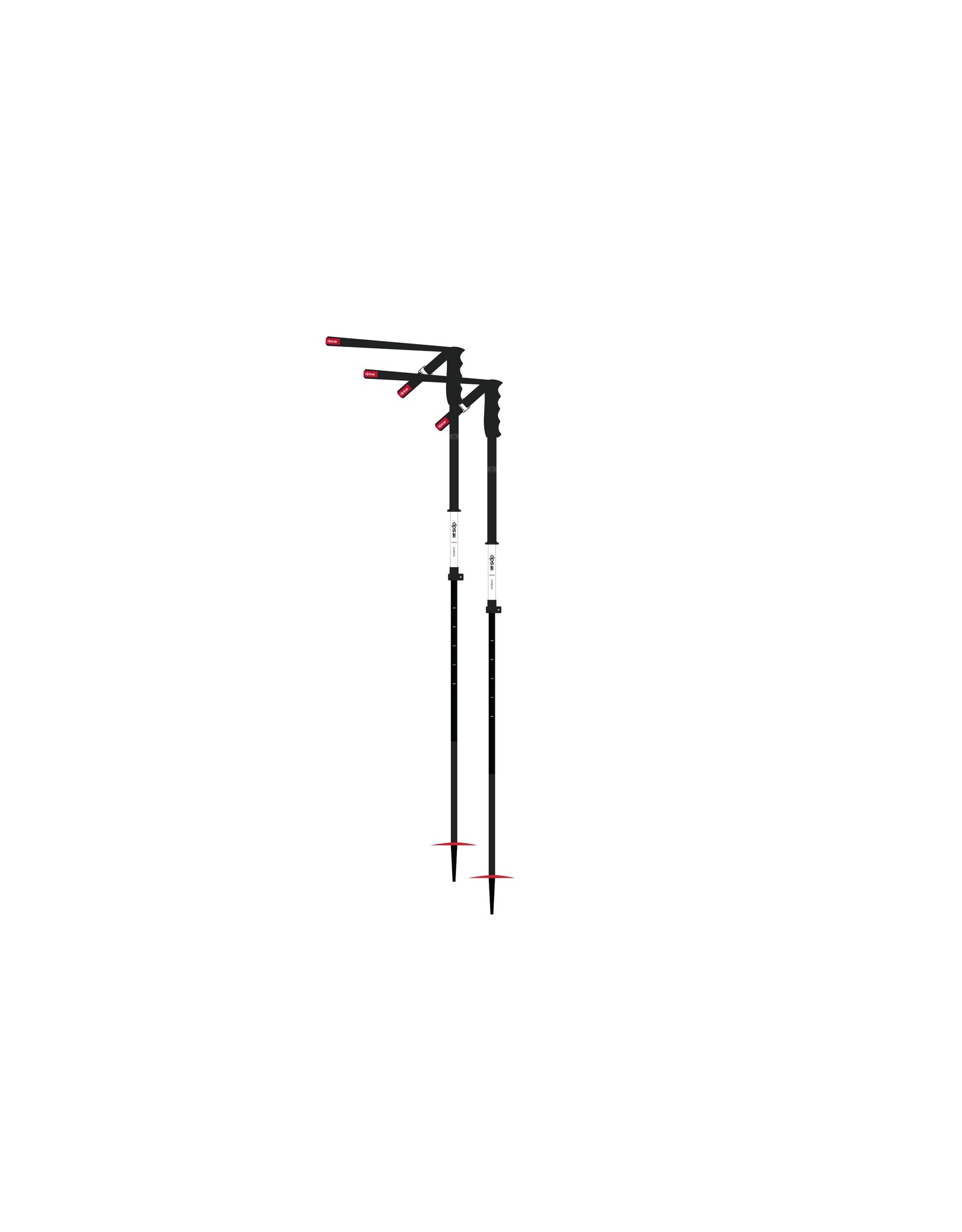 DPS EXTENDABLE SKI POLE