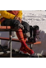 DARN TOUGH WOMENS ALPINE LIGHT SKI SOCK