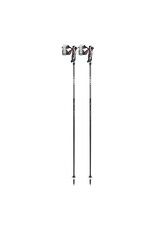 LEKI CARBON 14 3D SKI POLE