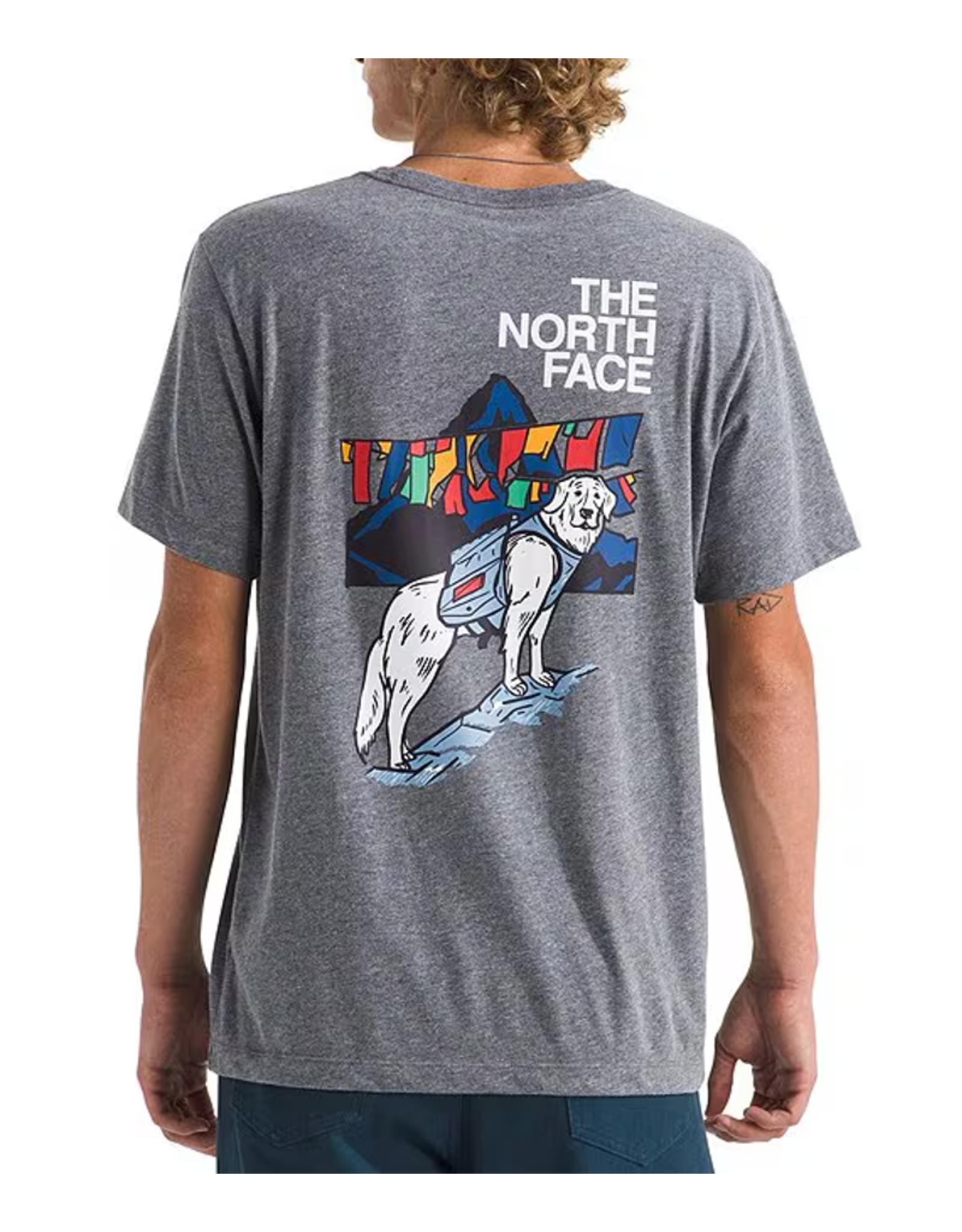 THE NORTH FACE MEN SUNLIT SUMMIT S/S TEE