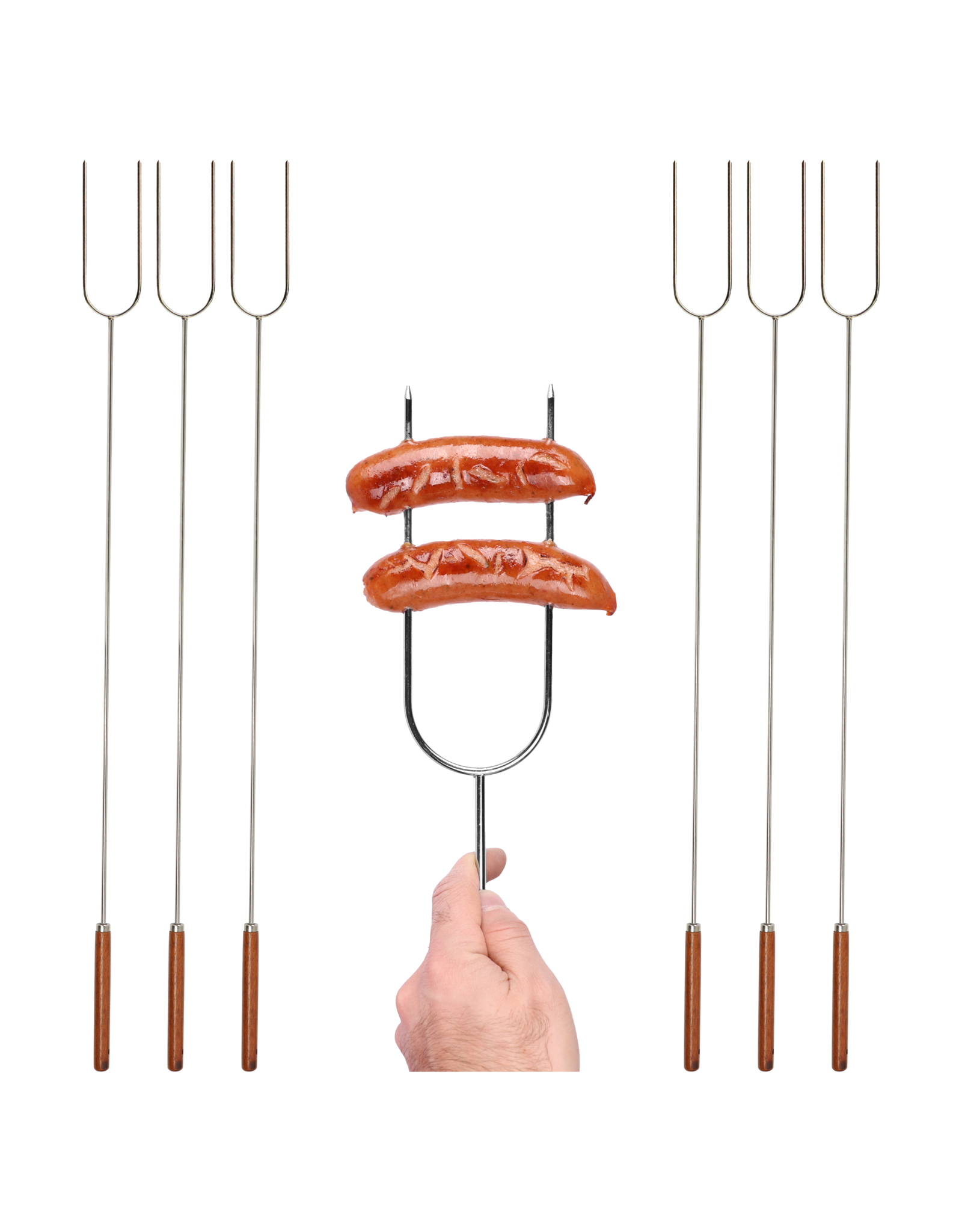COGHLAN'S CAMP FORK