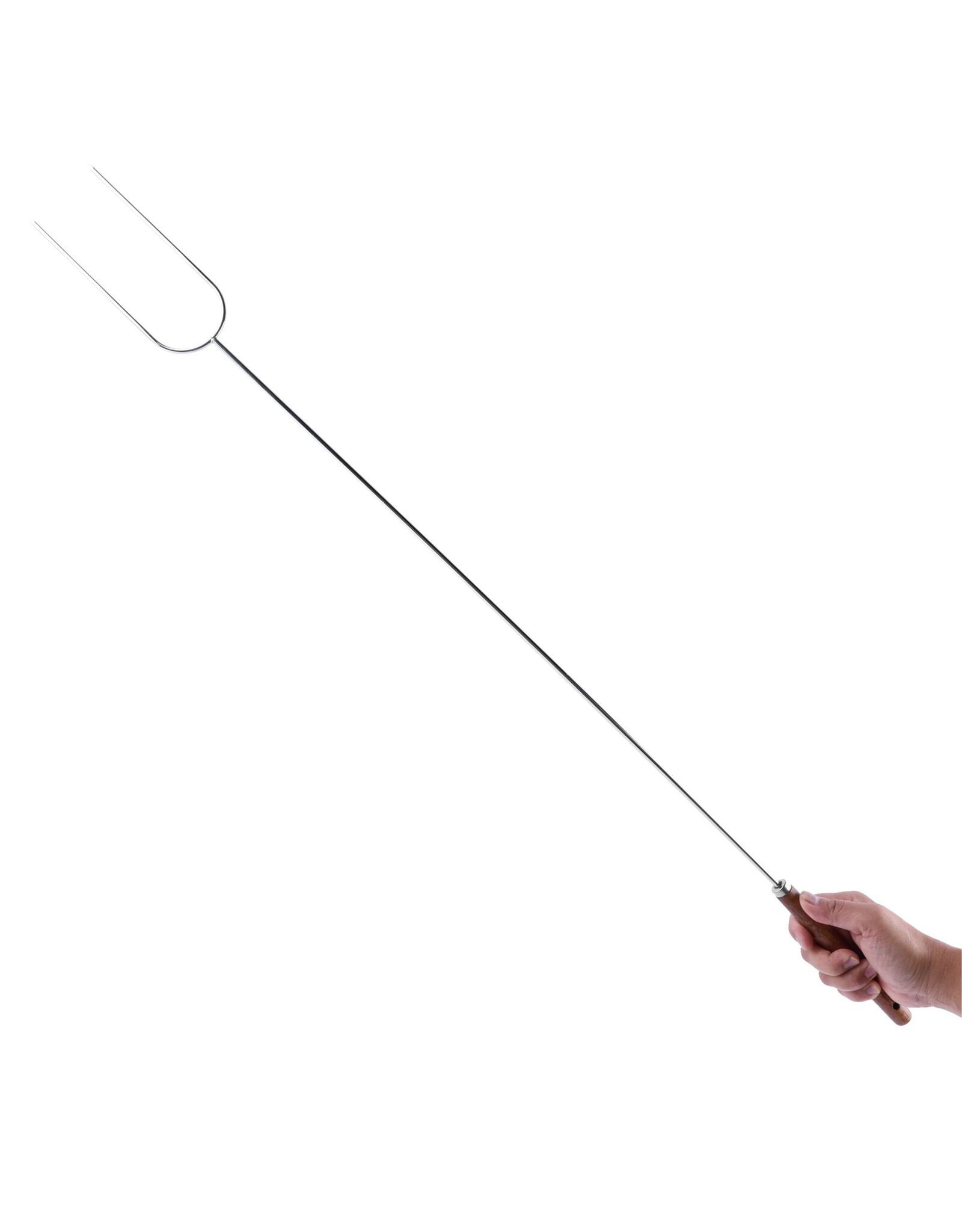 COGHLAN'S CAMP FORK