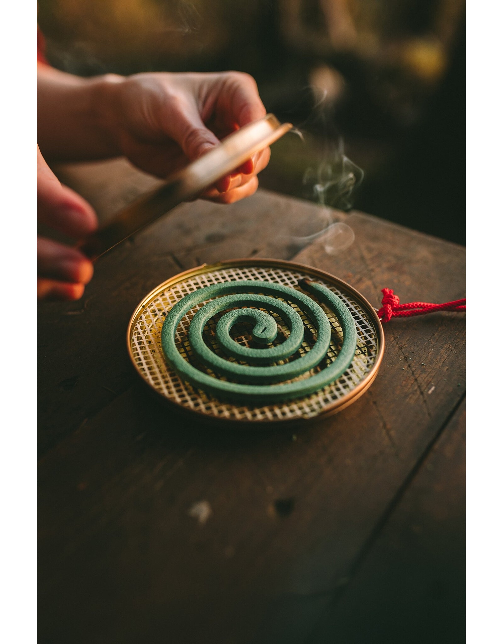 COGHLAN'S MOSQUITO COIL HOLDER