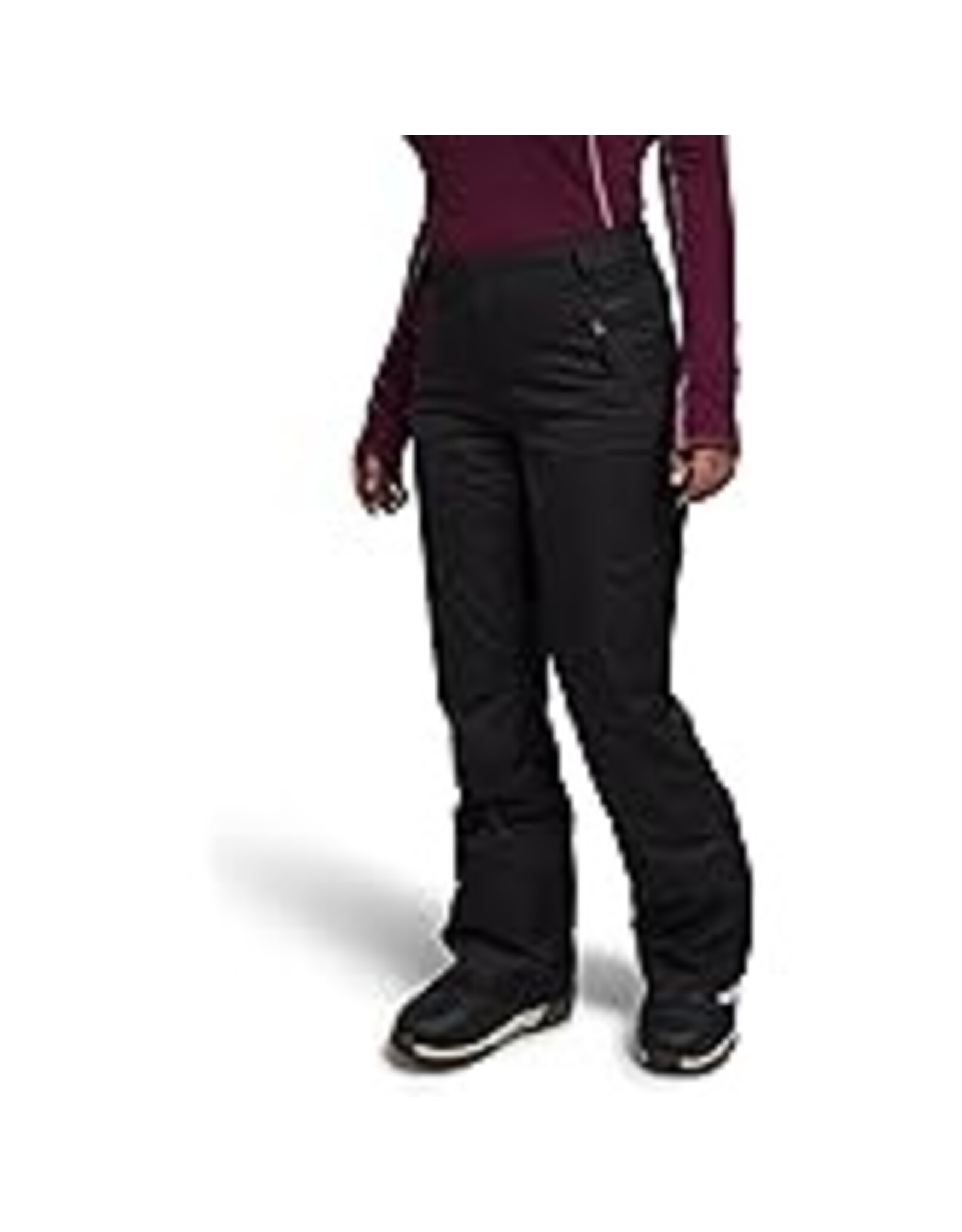 THE NORTH FACE WOMEN'S FREEDOM INSULATED PANT 2025