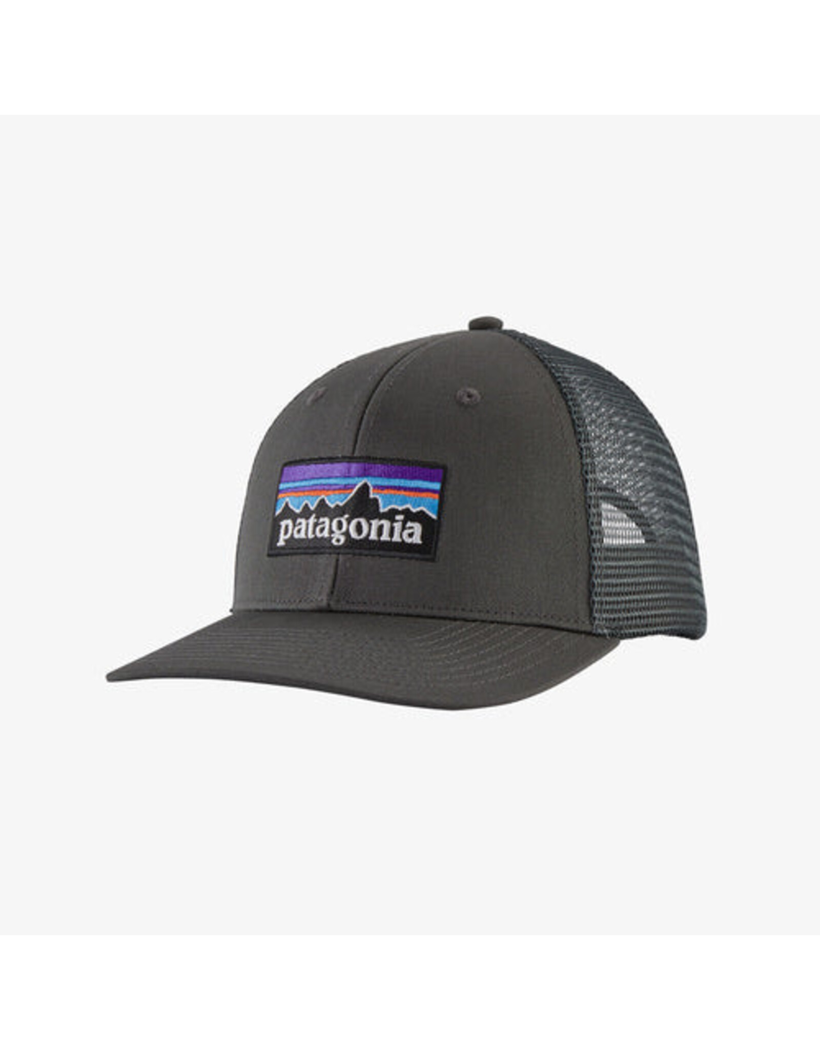 PATAGONIA P-6 LOGO TRUCKER HAT