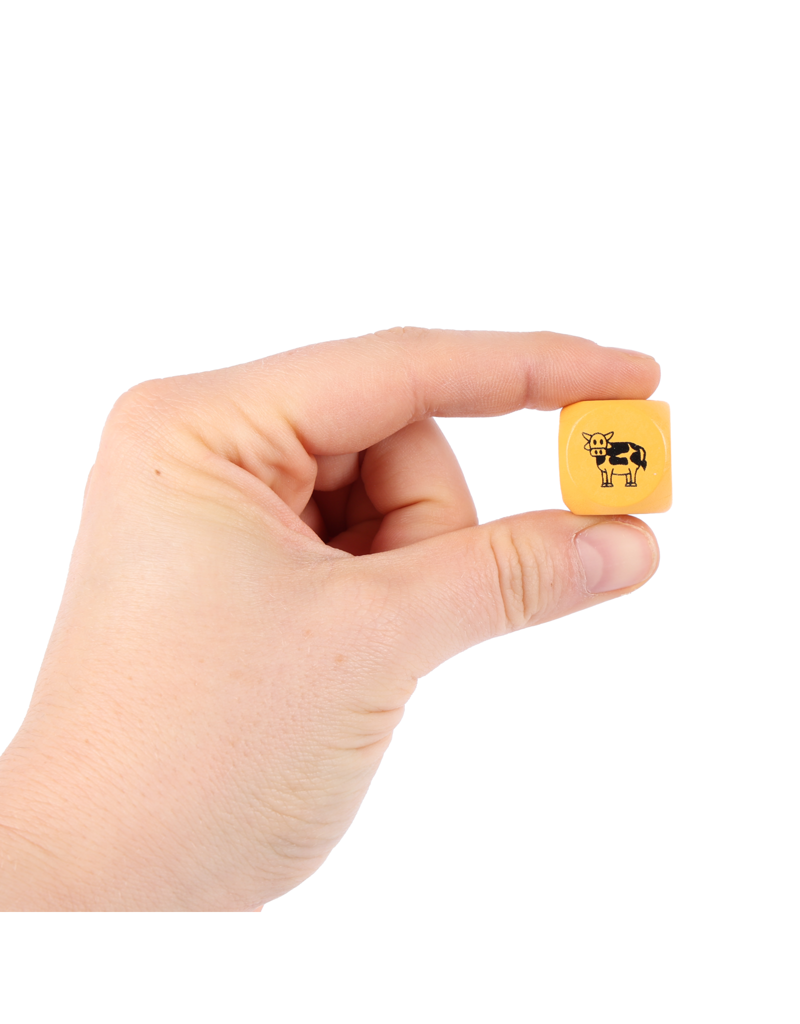 COGHLAN'S FIRESIDE STORY DICE