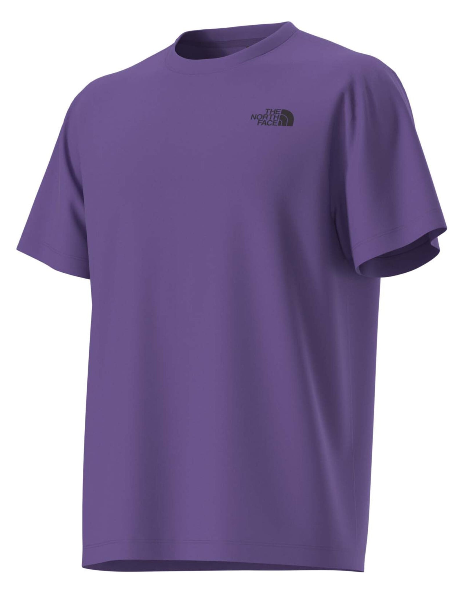 THE NORTH FACE UNISEX TESTED AND PROVEN RELAXED SS TEE