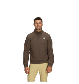 THE NORTH FACE MEN'S EVOLUTION SIMPLE DOME REGULAR ¼ ZIP